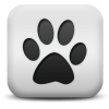 Captcha image 8595